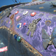 Illustration for article titled Groovalicious Purple Princess Of Peace Art Car Falls On Hard Times, Faces Crusher